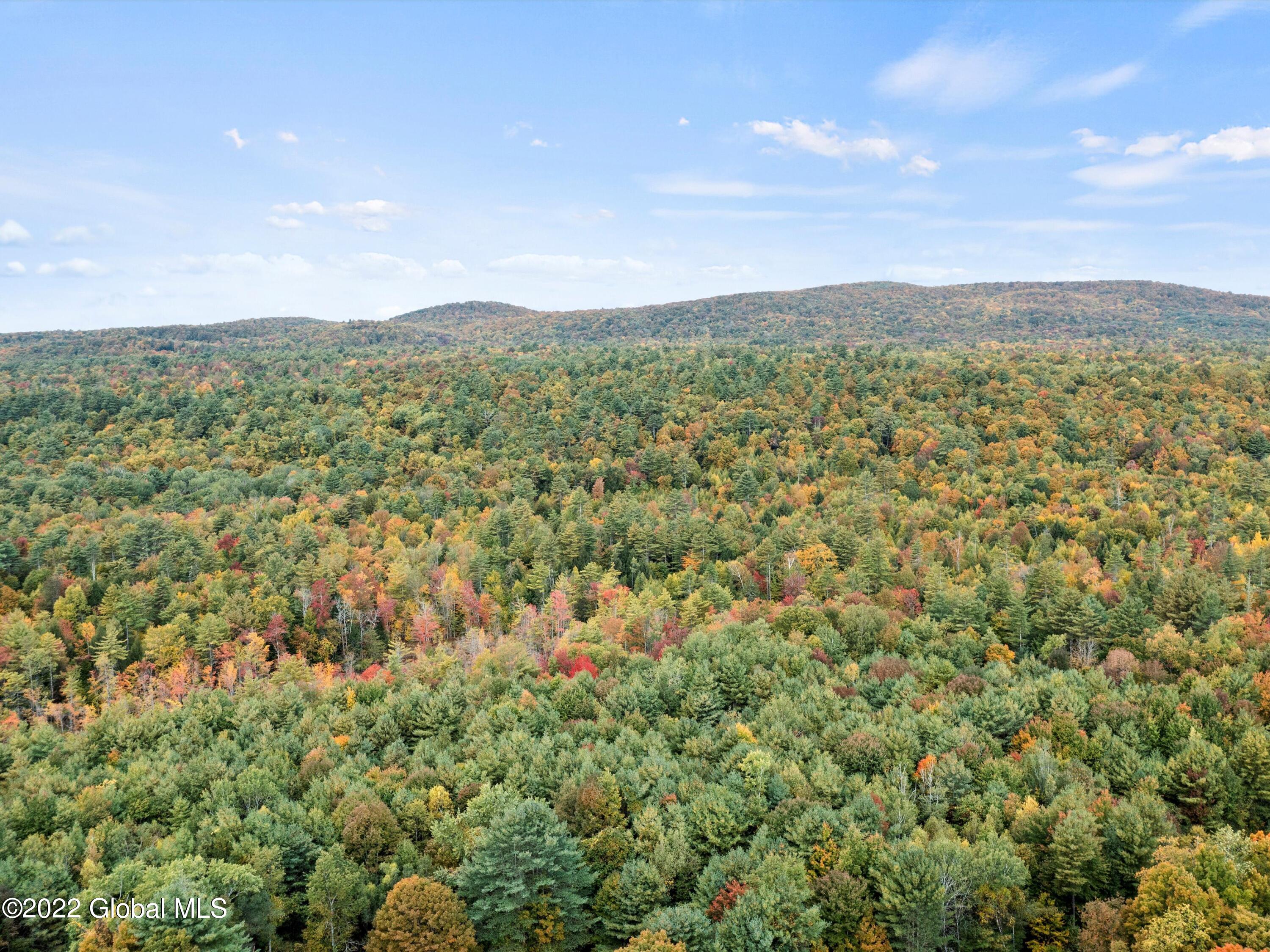 79 Ormsbee Road Greenfield, NY 12859 - Photo 13 of 48 06-DJI_0803