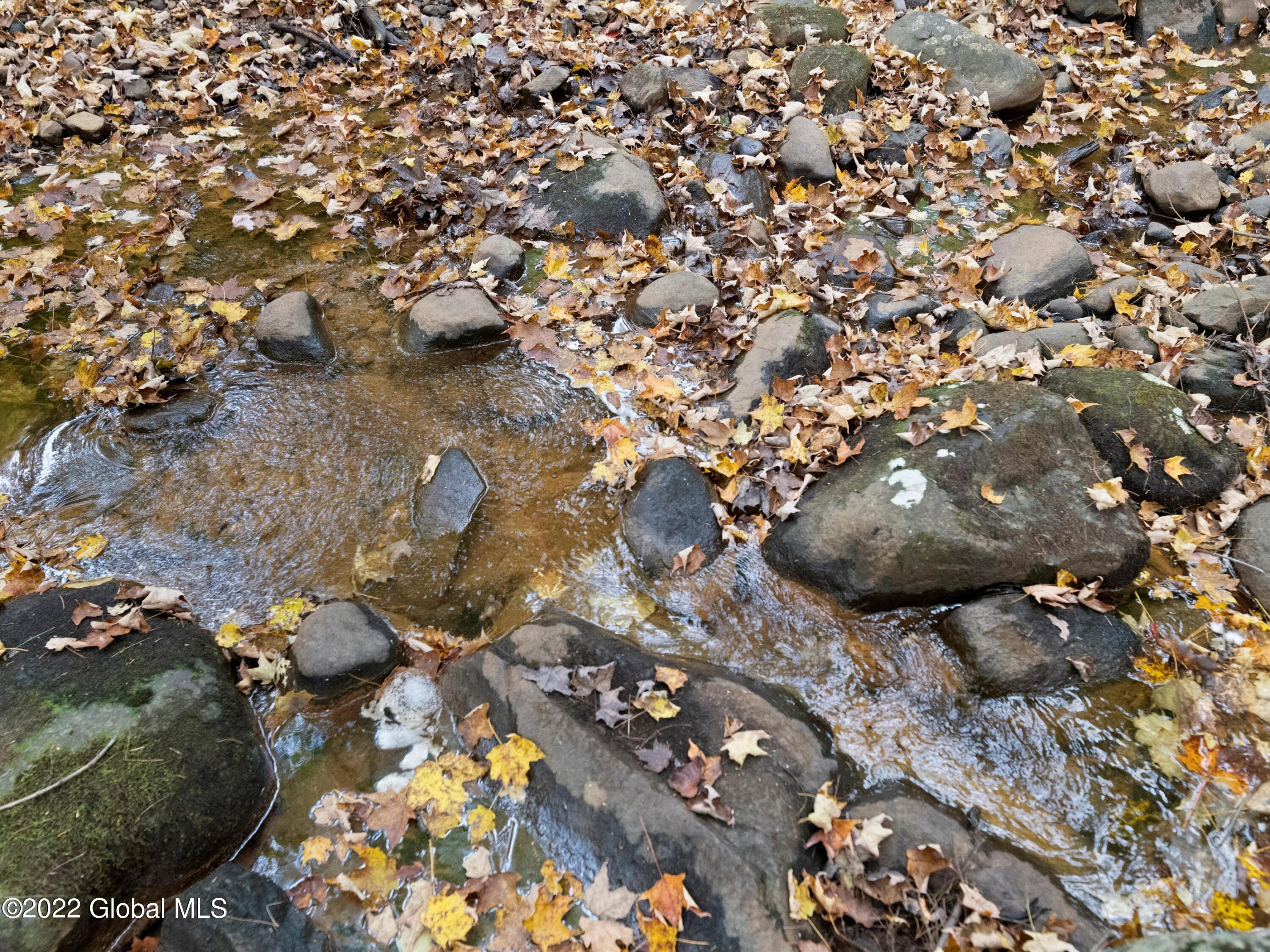 79 Ormsbee Road Greenfield, NY 12859 - Photo 15 of 48 09-FJD_4394
