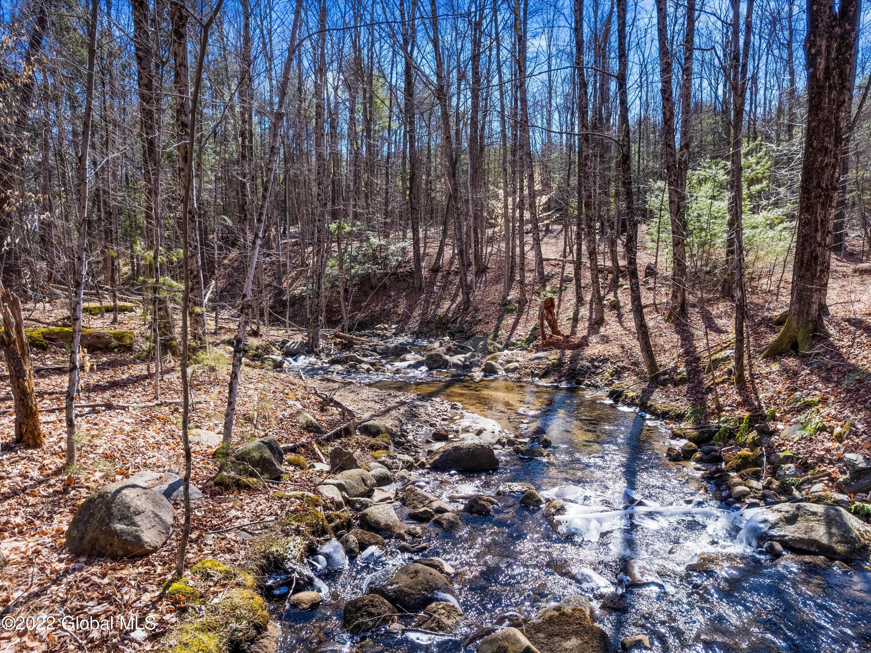 79 Ormsbee Road Greenfield, NY 12859 - Photo 18 of 48 10-DJI_0335