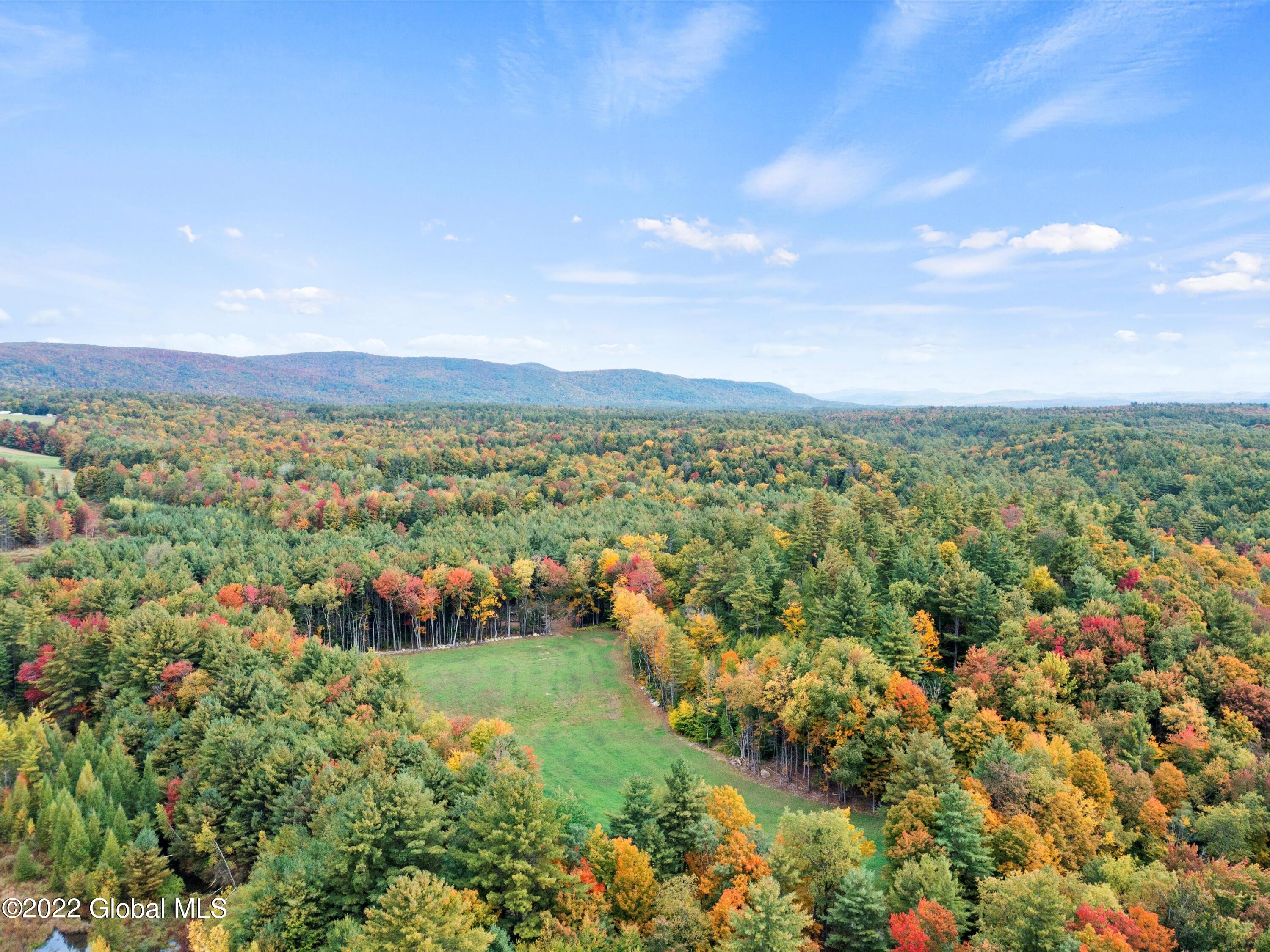 79 Ormsbee Road Greenfield, NY 12859 - Photo 2 of 48 01-DJI_0800