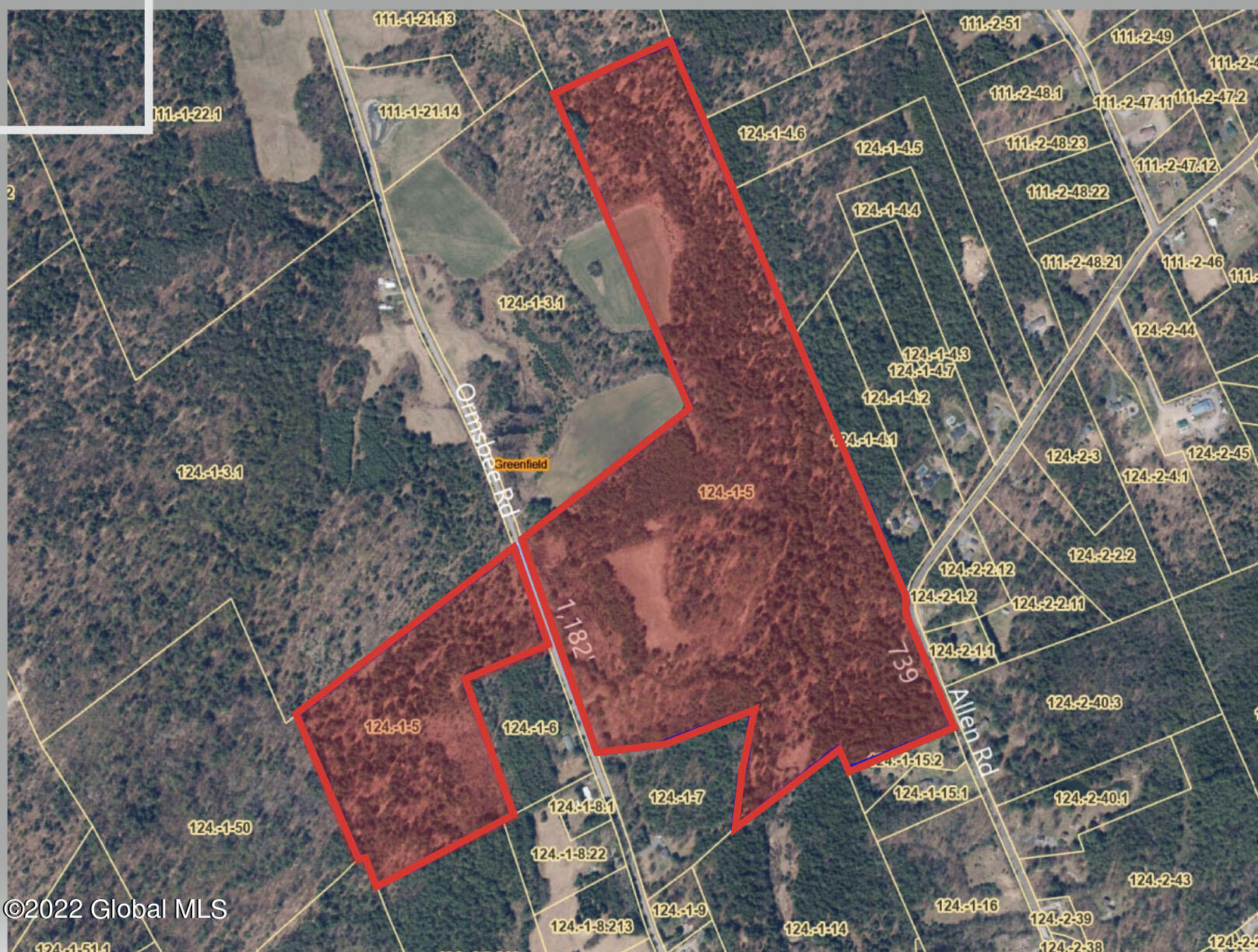 79 Ormsbee Road Greenfield, NY 12859 - Photo 23 of 48 Ormsbee-SatellitePhoto