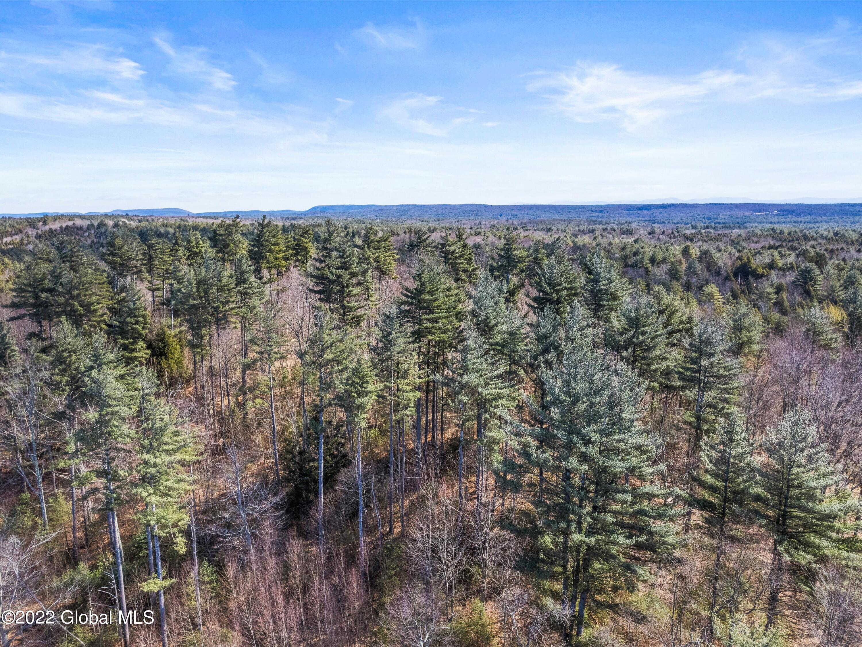 79 Ormsbee Road Greenfield, NY 12859 - Photo 31 of 48 05-DJI_0323