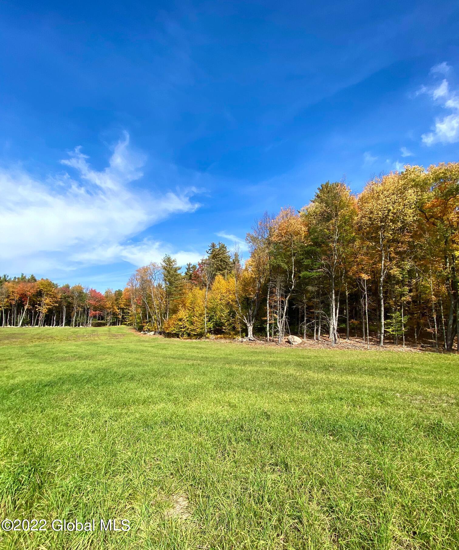 79 Ormsbee Road Greenfield, NY 12859 - Photo 4 of 48 image1-12