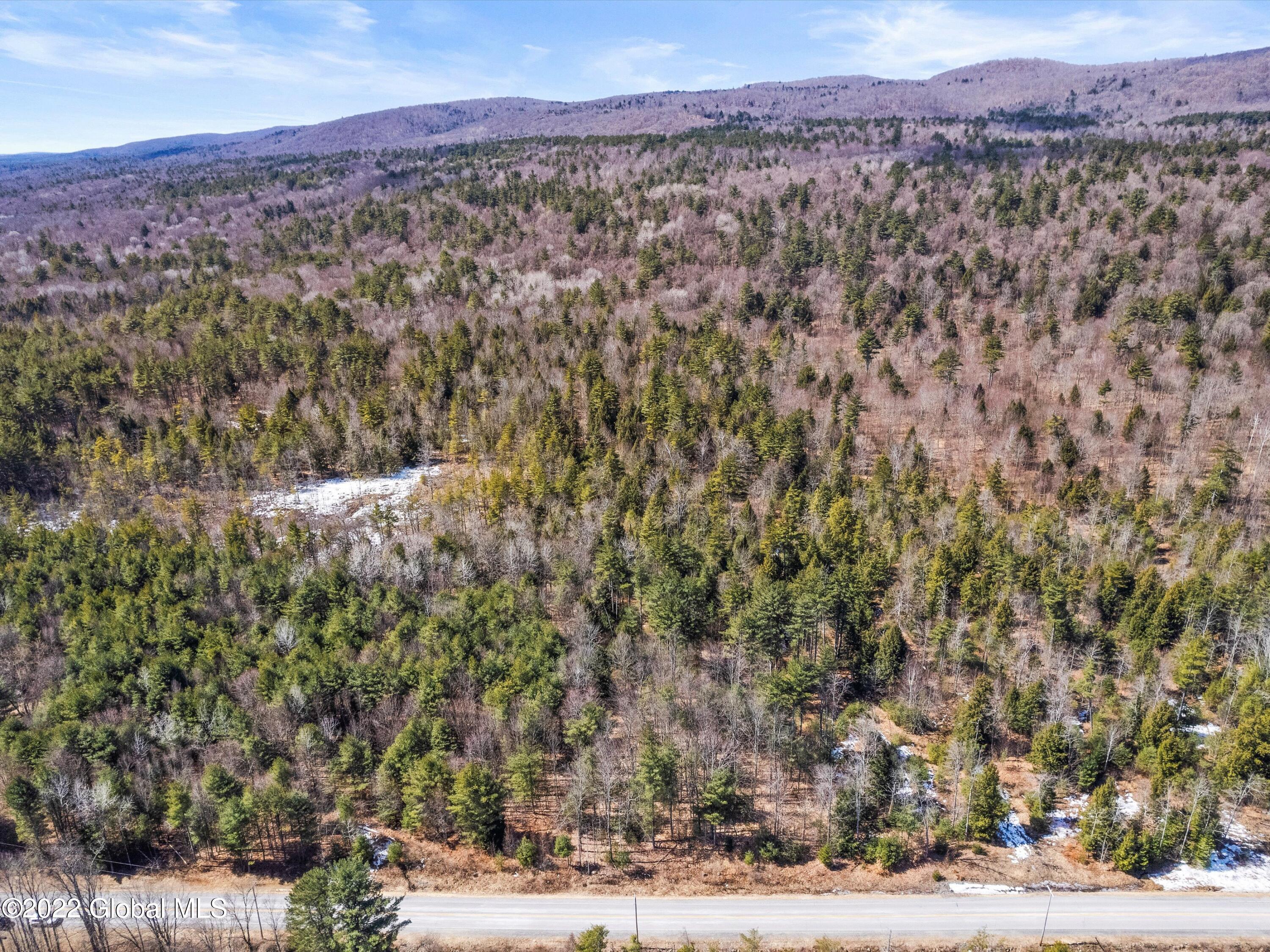 79 Ormsbee Road Greenfield, NY 12859 - Photo 44 of 48 26-DJI_0388