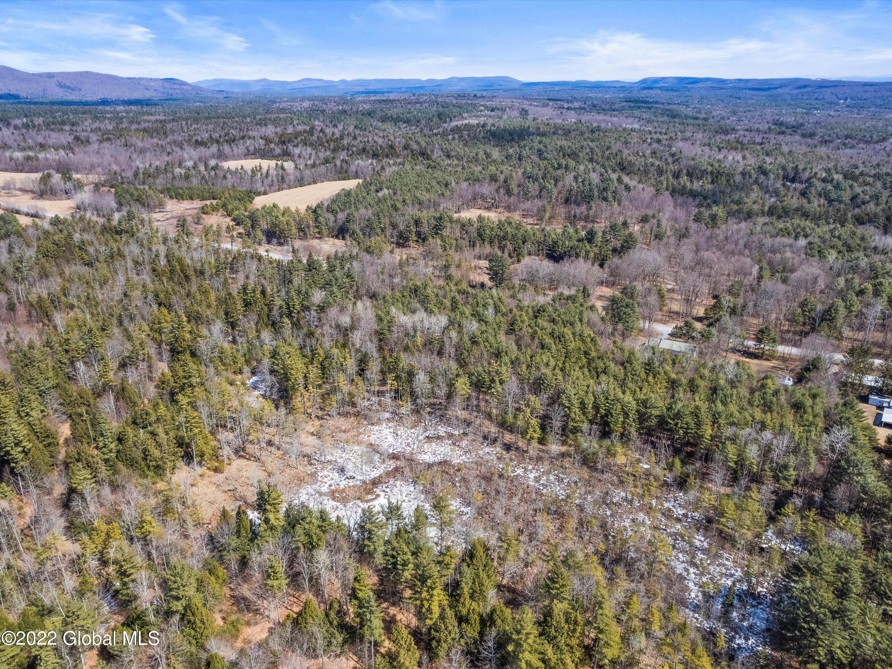 79 Ormsbee Road Greenfield, NY 12859 - Photo 46 of 48 29-DJI_0394