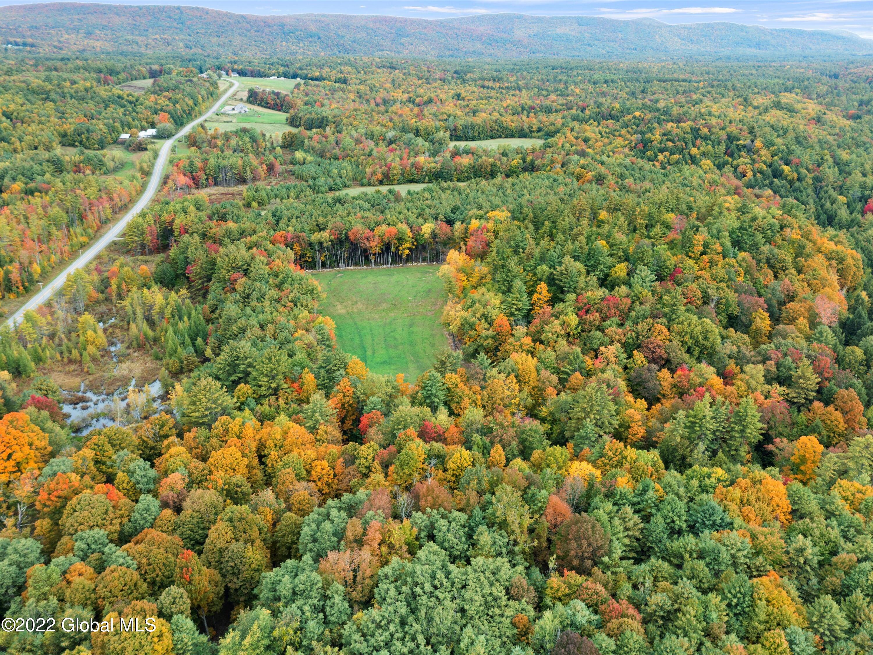 79 Ormsbee Road Greenfield, NY 12859 - Photo 8 of 48 07-DJI_0806