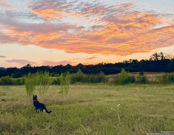$450,000 | 1400 Knoll Schwope Road, Spring Branch, TX 78070