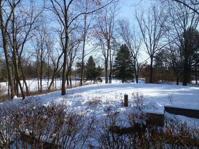 4012 Oak Ridge Road Crystal Lake, IL 60012 - Photo 20 of 24 a view of outdoor space with trees