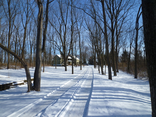 4012 Oak Ridge Road Crystal Lake, IL 60012 - Photo 23 of 24 a view of road and trees