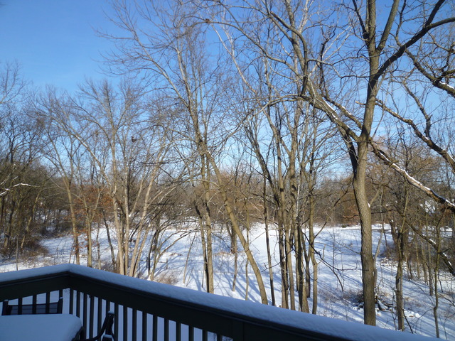 4012 Oak Ridge Road Crystal Lake, IL 60012 - Photo 5 of 24 a view of trees in front of house