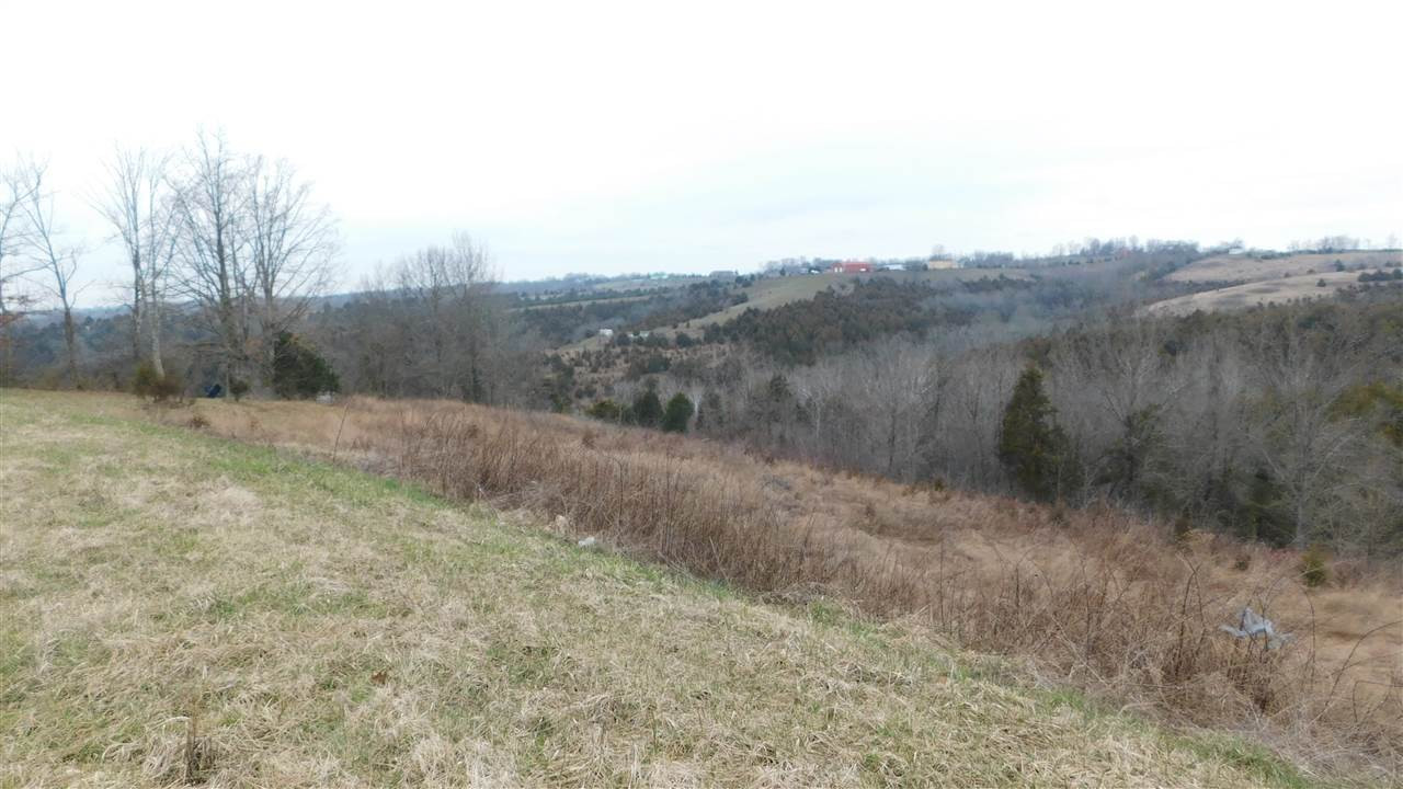 Reed Kinman Road Williamstown, KY 41097 - Photo 4 of 5