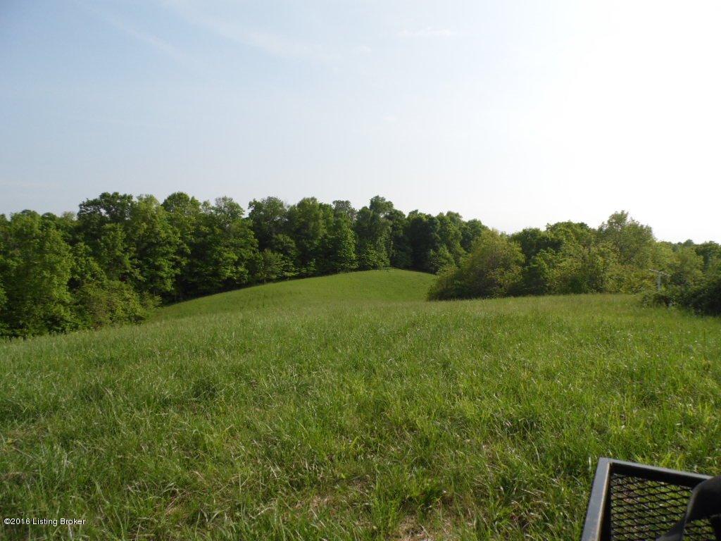 1025 Vaughn Road Lawrenceburg, KY 40342 - Photo 3 of 19 1609709_02