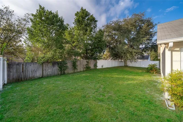 a view of a backyard with large trees and plants