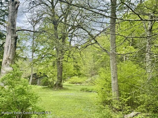 25 Wright Road Lanesville, NY 12450 - Photo 4 of 18 IMG_7825