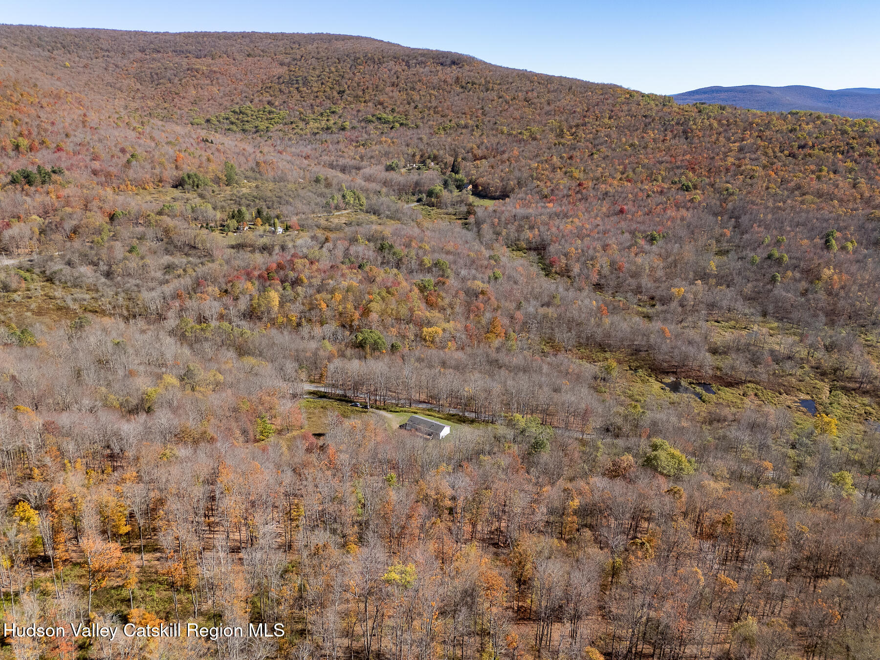 2685 Red Kill Road Fleischmanns, NY 12430 - Photo 31 of 31 a view of a dry field