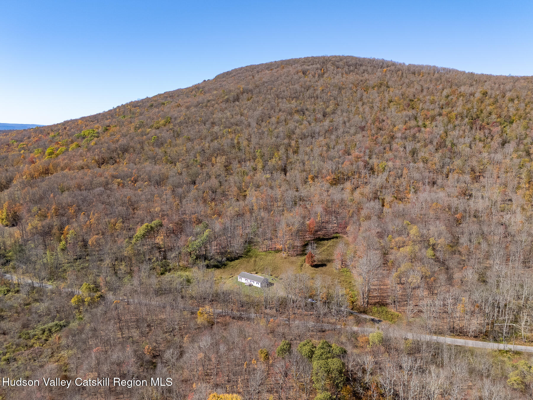 2685 Red Kill Road Fleischmanns, NY 12430 - Photo 6 of 31 a view of a dry field with mountains in the background