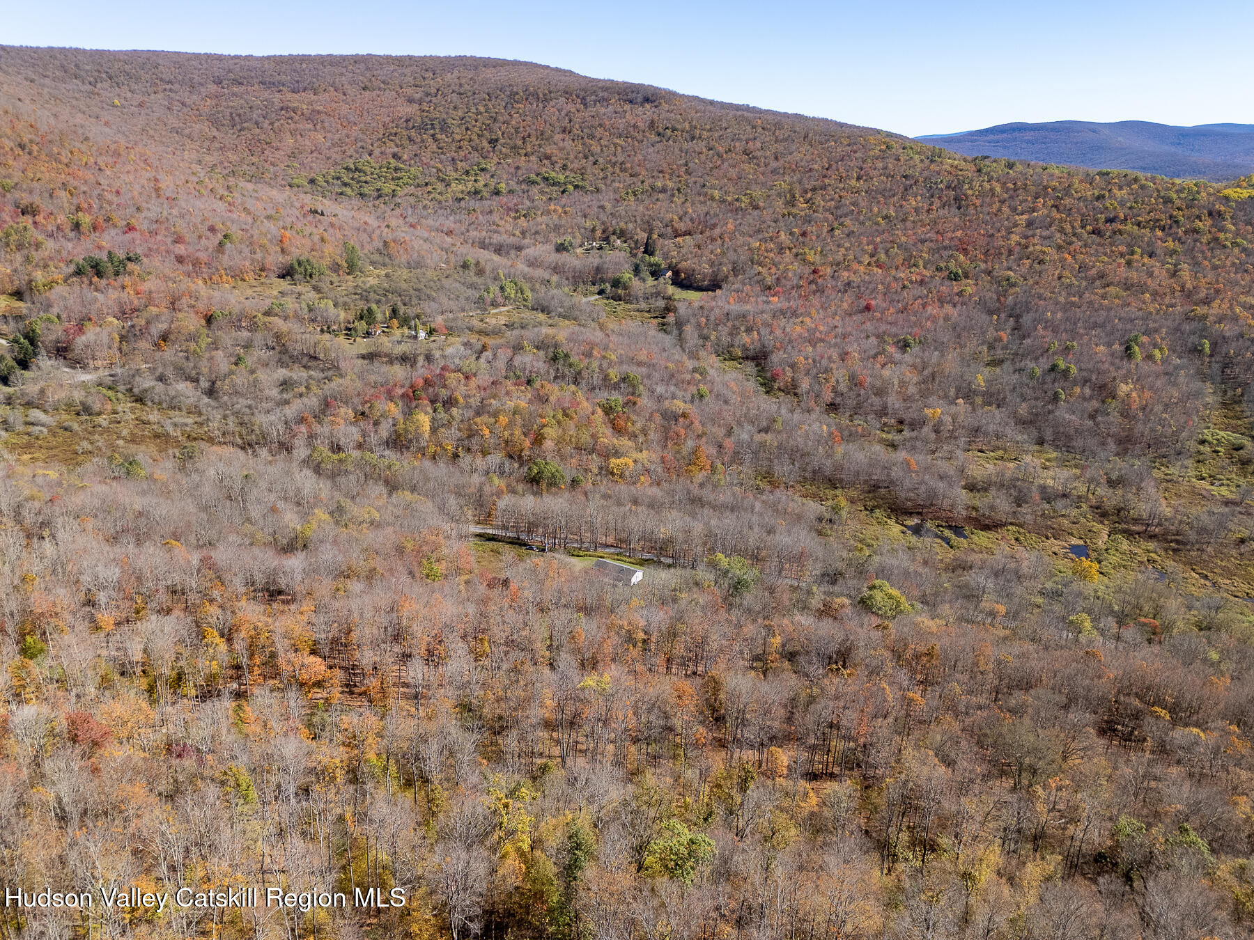 2685 Red Kill Road Fleischmanns, NY 12430 - Photo 9 of 31 a view of a dry field