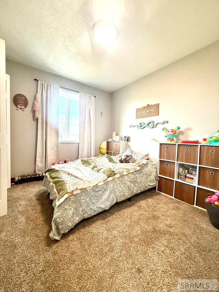 274 Dry Creek Road Dubois, ID 83423 - Photo 36 of 52