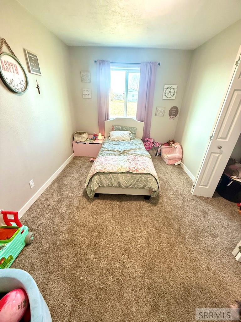 274 Dry Creek Road Dubois, ID 83423 - Photo 38 of 52