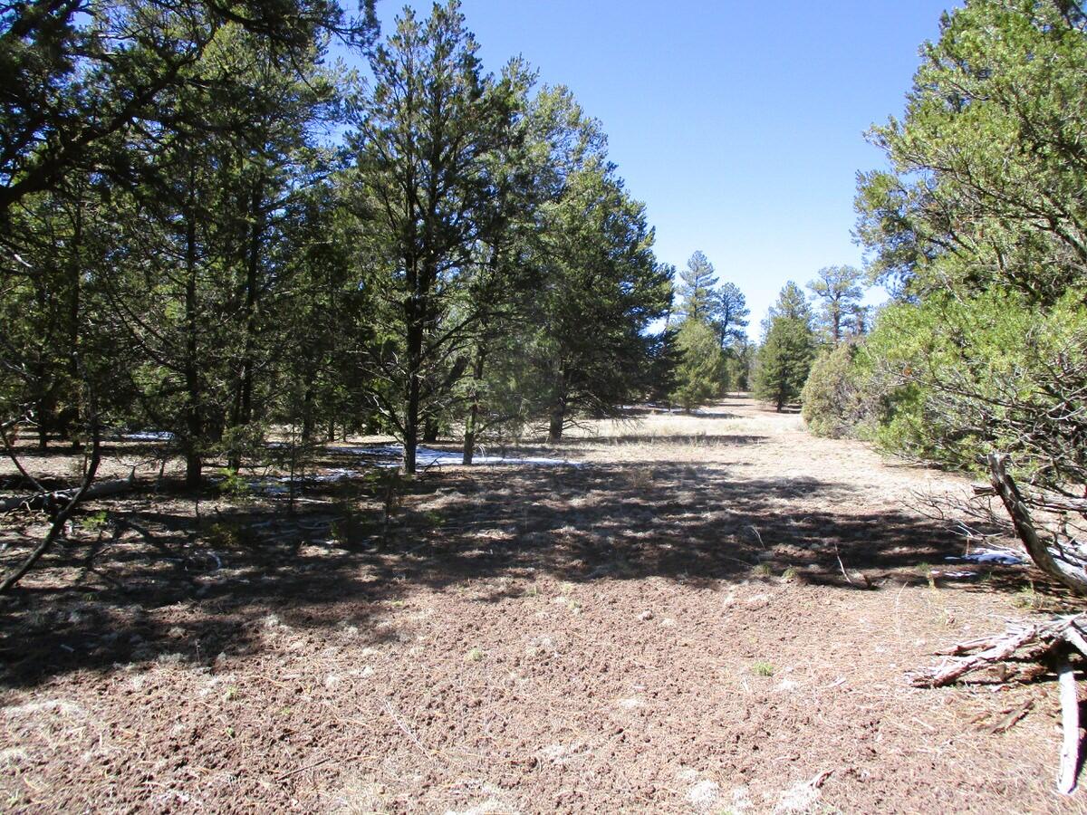 Lot 5 Copperweed Road Ramah, NM 87321 - Photo 20 of 88 Gallery Image 20