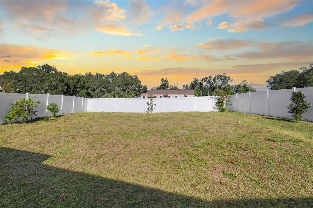 1424 Vinetree Drive Brandon, FL 33510 - Photo 26 of 28