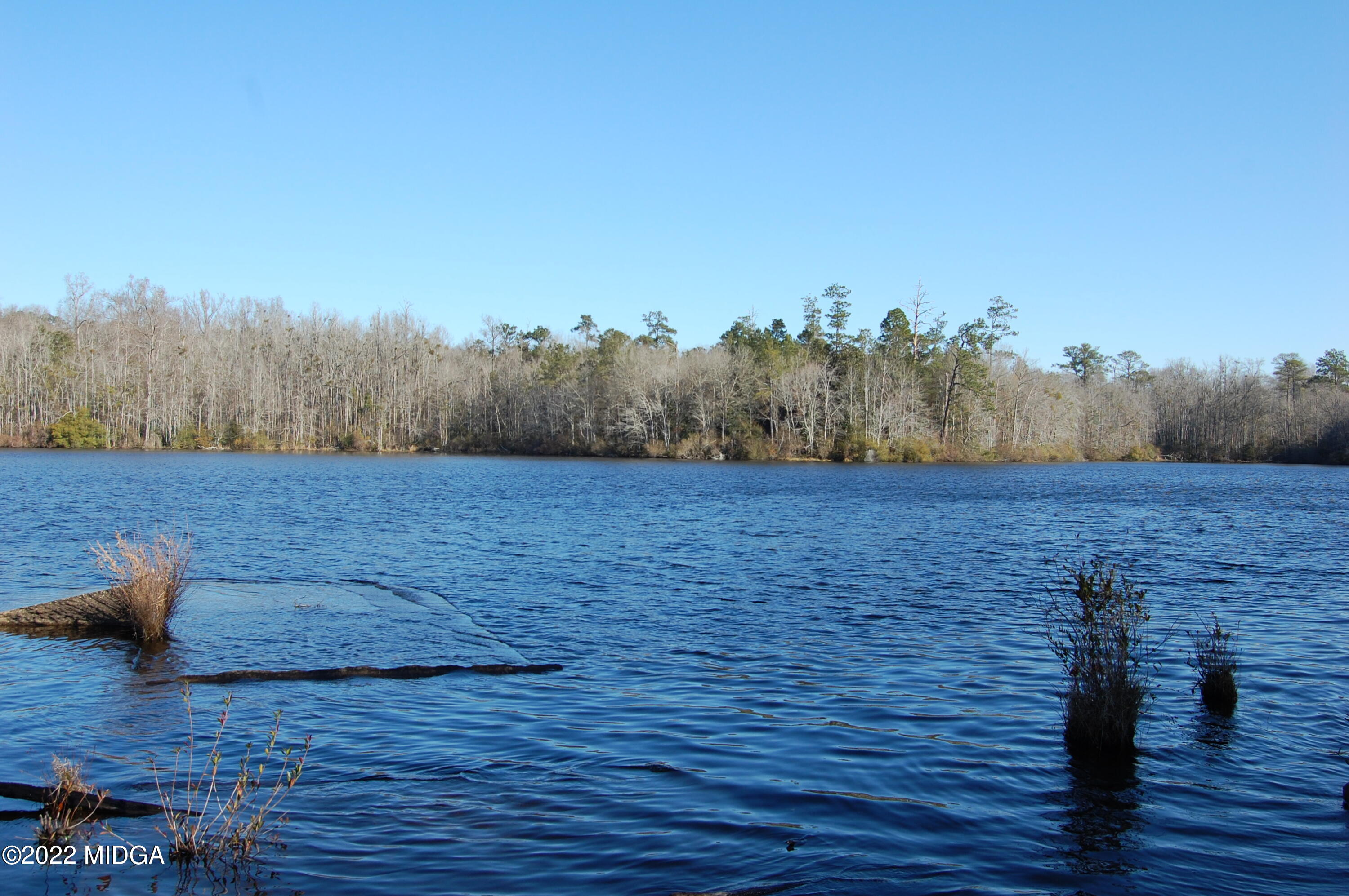 2802 Jeffersonville Road Macon, GA 31217 - Photo 14 of 32 a view of a yard
