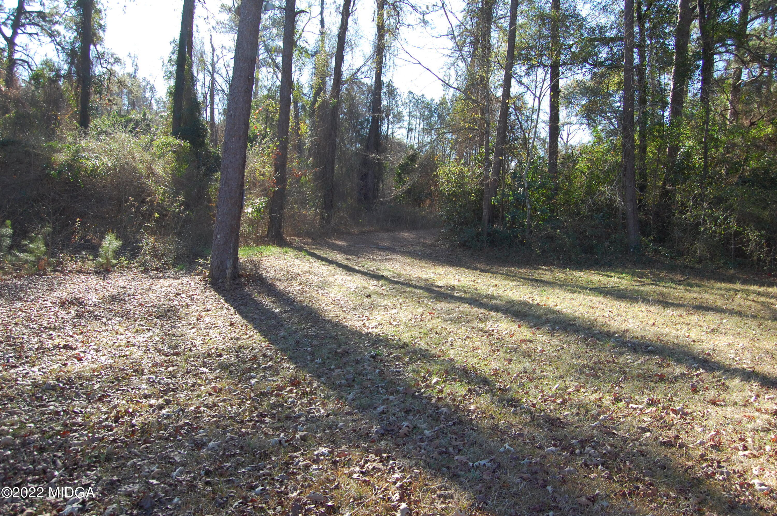 2802 Jeffersonville Road Macon, GA 31217 - Photo 19 of 32 a view of a yard with trees