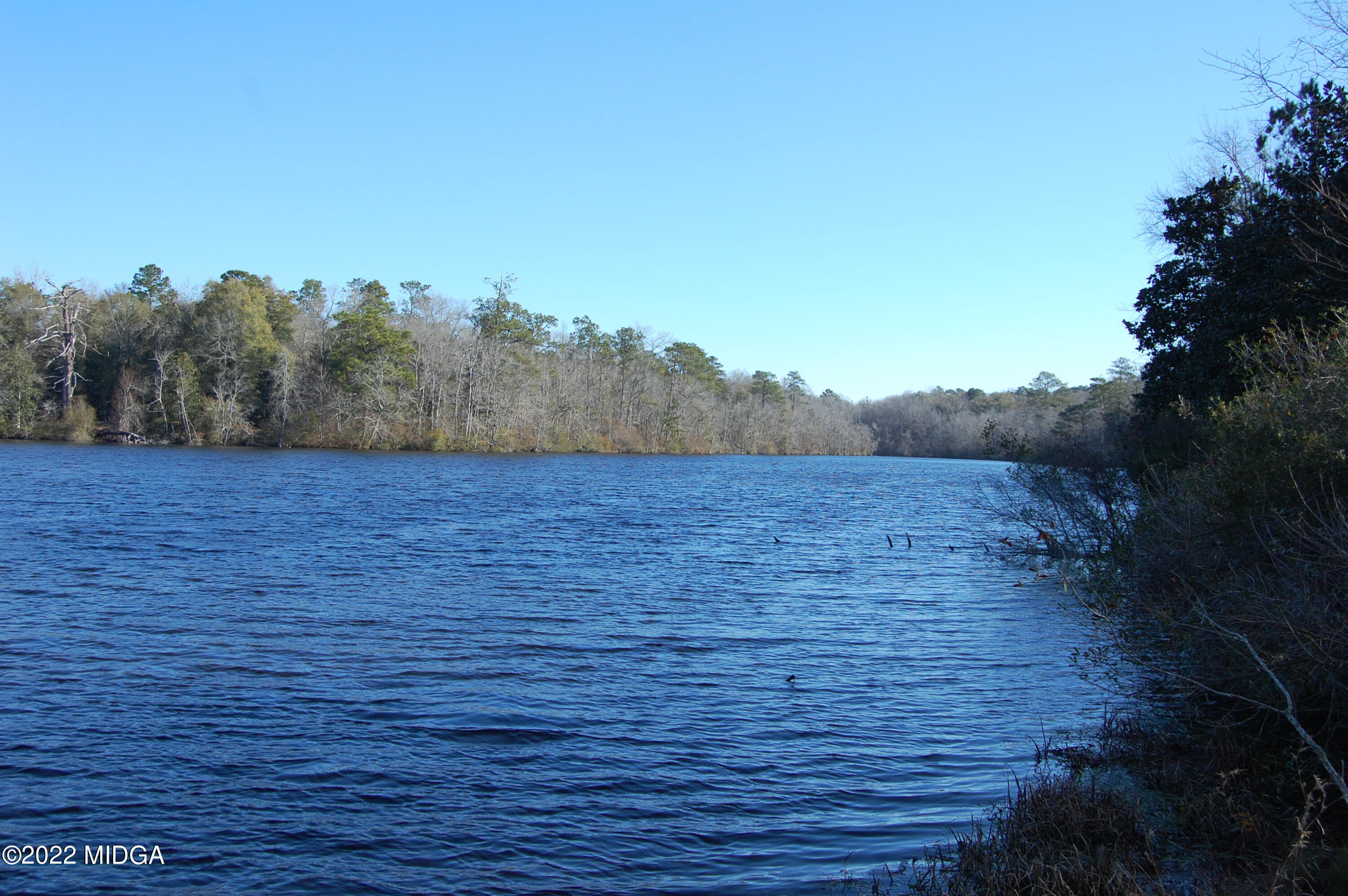 2802 Jeffersonville Road Macon, GA 31217 - Photo 2 of 32 a view of a yard
