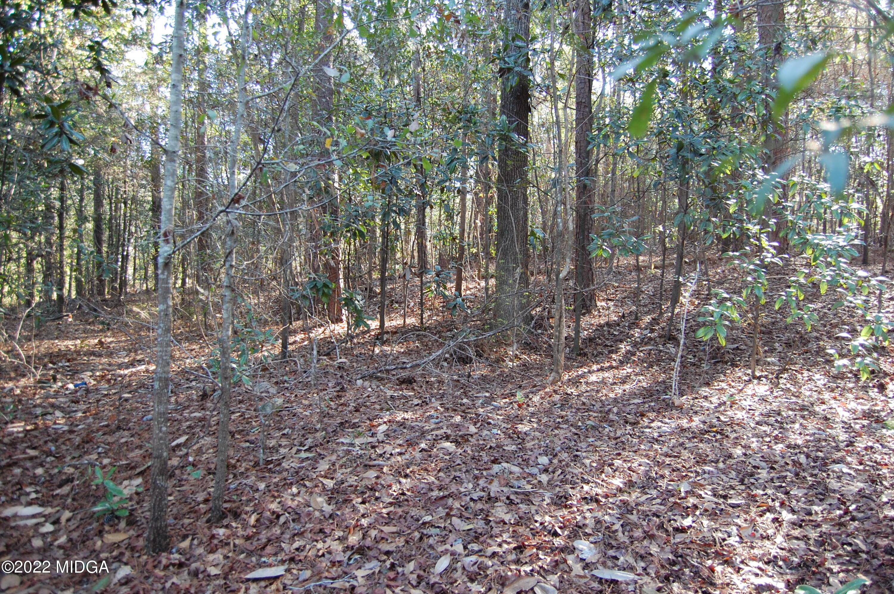 2802 Jeffersonville Road Macon, GA 31217 - Photo 23 of 32 a view of outdoor space with trees