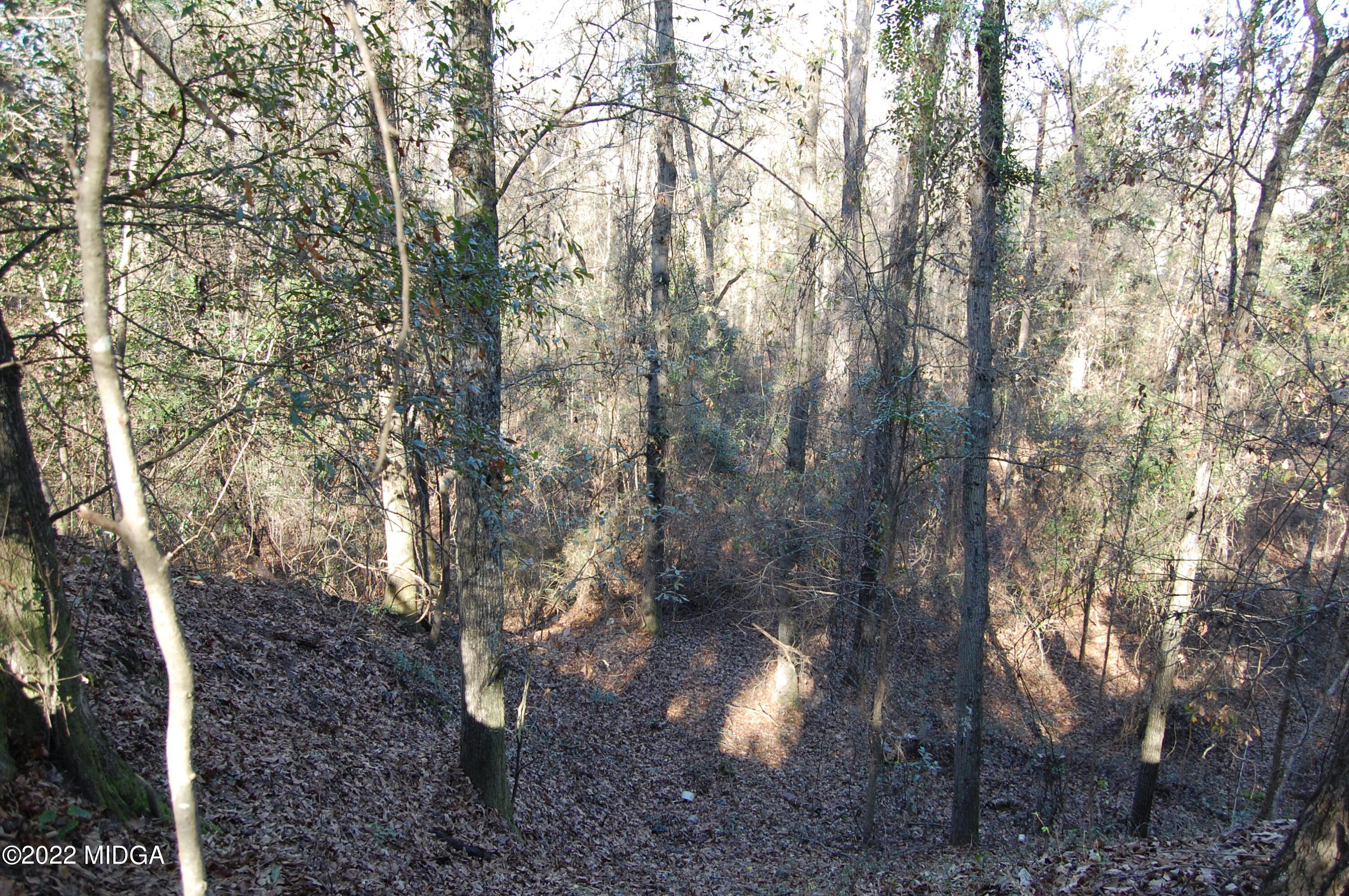 2802 Jeffersonville Road Macon, GA 31217 - Photo 26 of 32 a view of forest