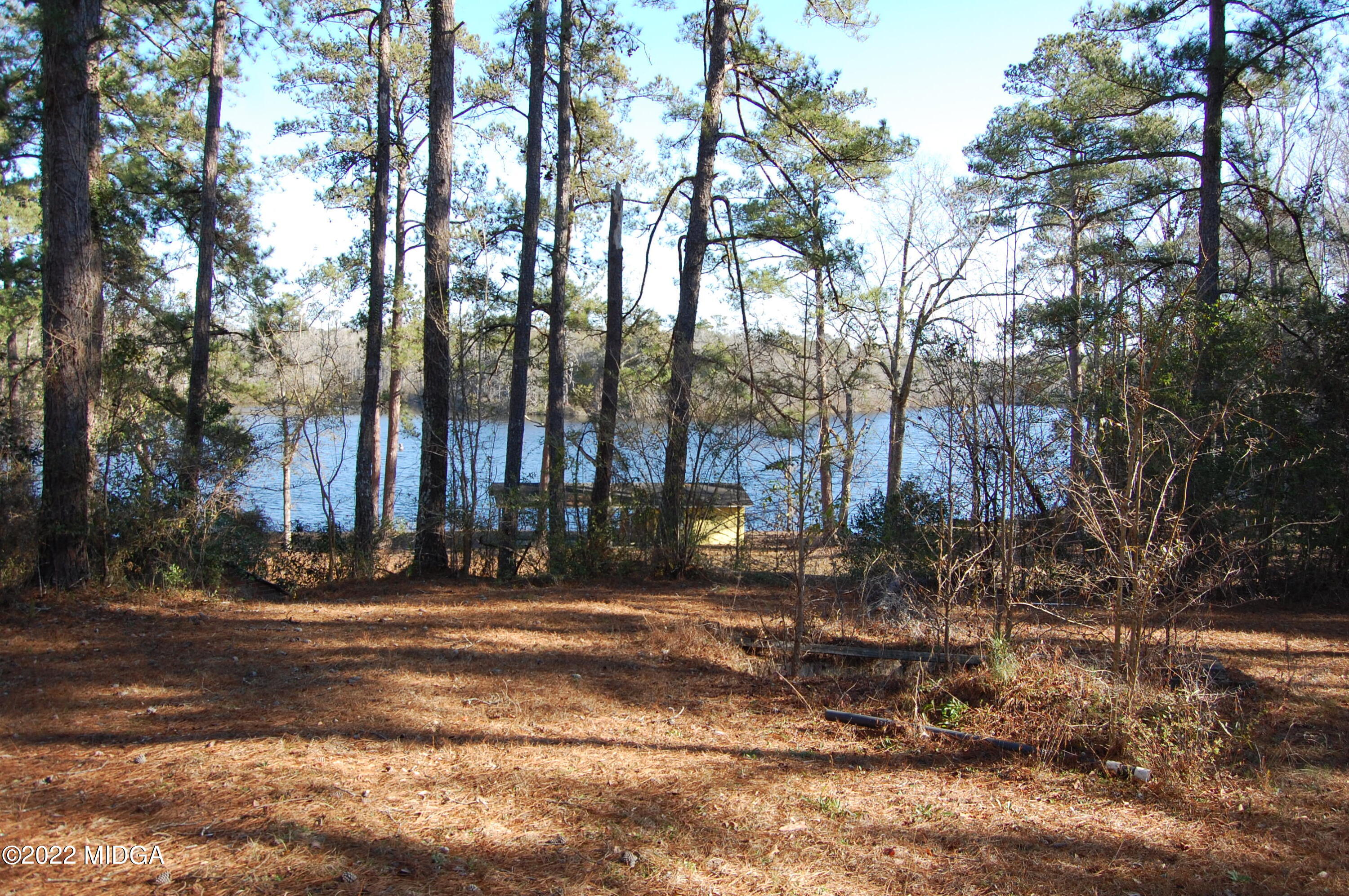 2802 Jeffersonville Road Macon, GA 31217 - Photo 28 of 32 a night view of yard with trees
