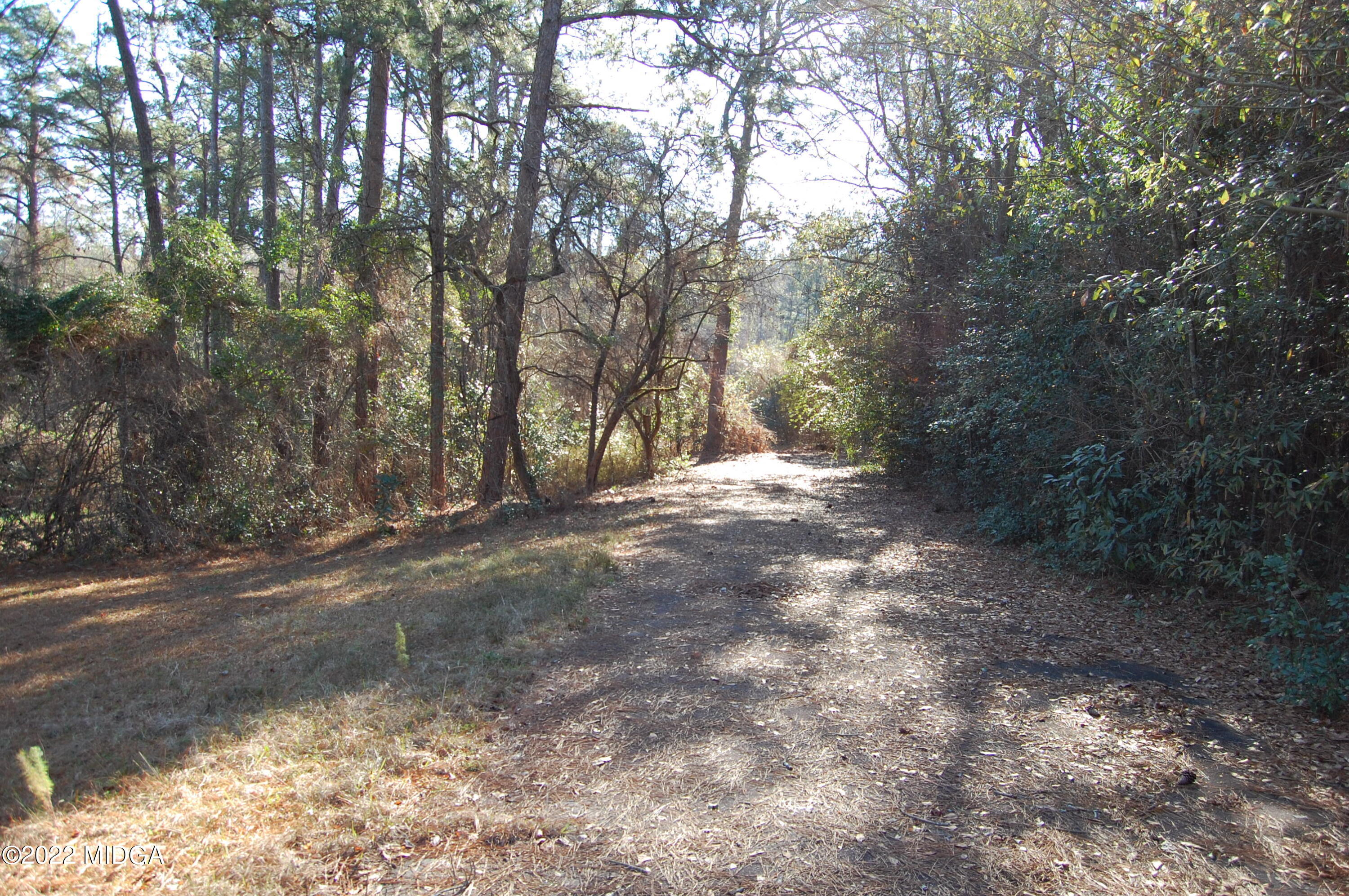 2802 Jeffersonville Road Macon, GA 31217 - Photo 29 of 32 a view of dirt yard with a large tree