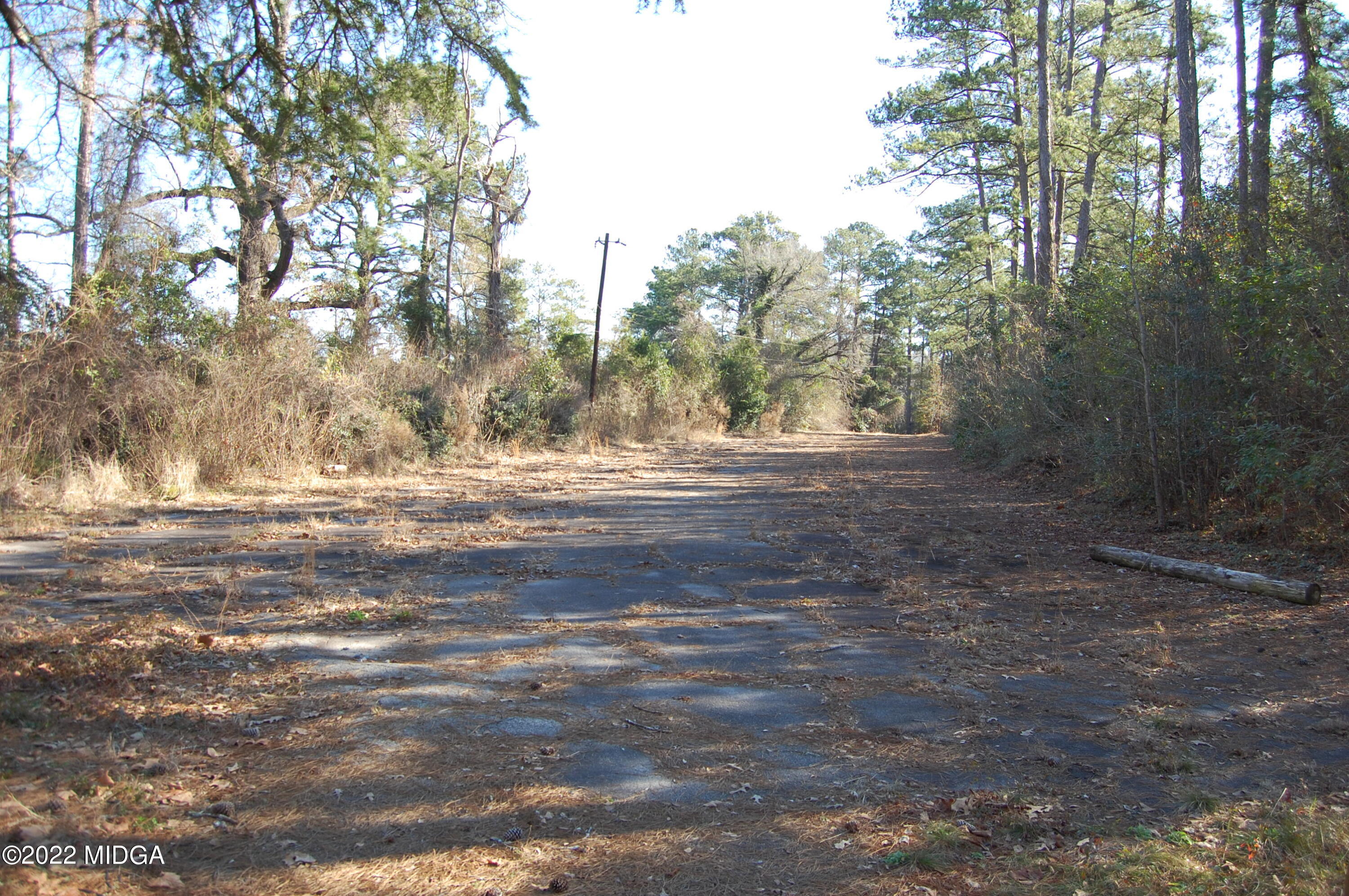2802 Jeffersonville Road Macon, GA 31217 - Photo 30 of 32 a view of dirt yard with a large tree