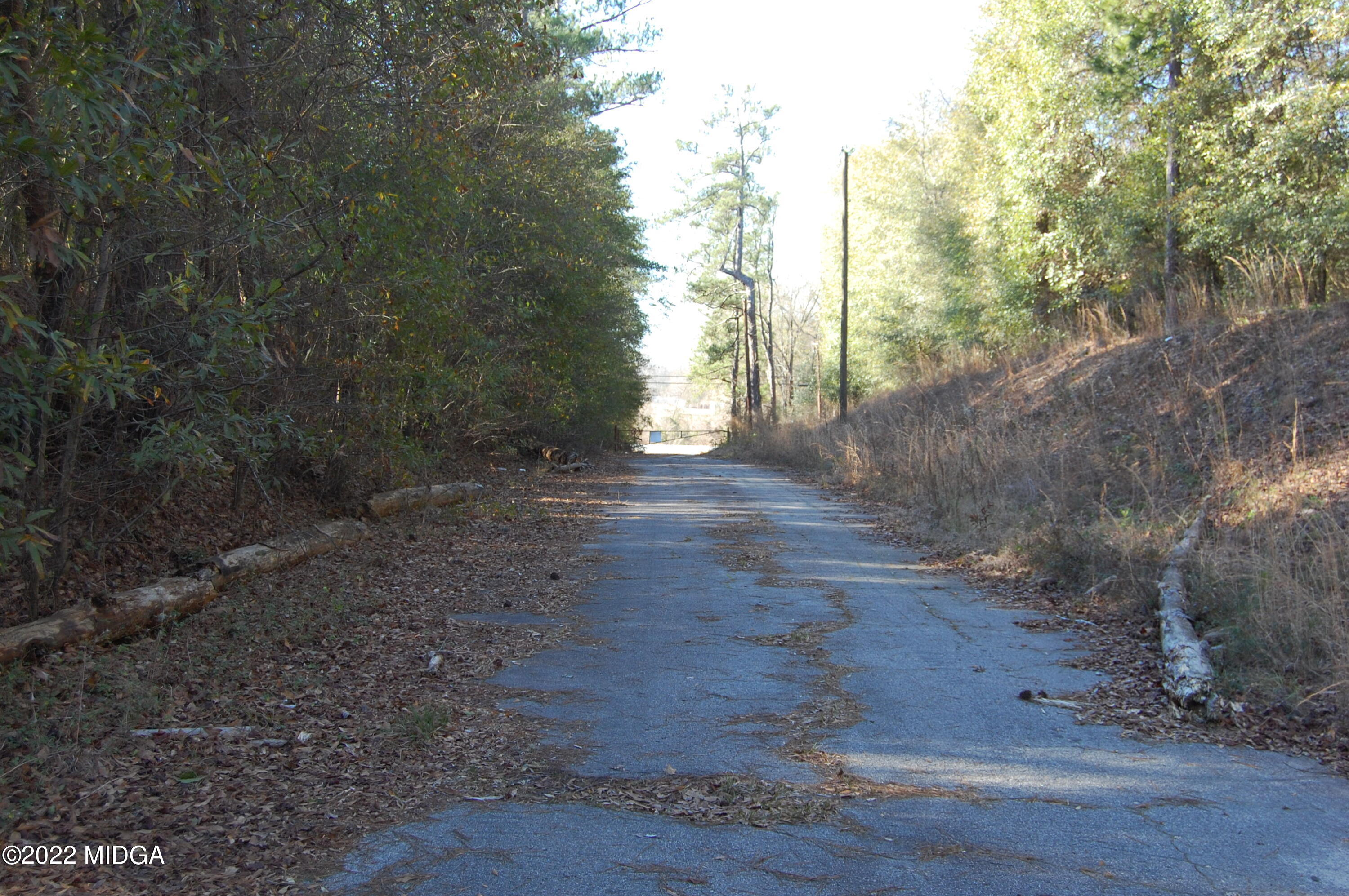 2802 Jeffersonville Road Macon, GA 31217 - Photo 32 of 32 a view of a yard with a tree