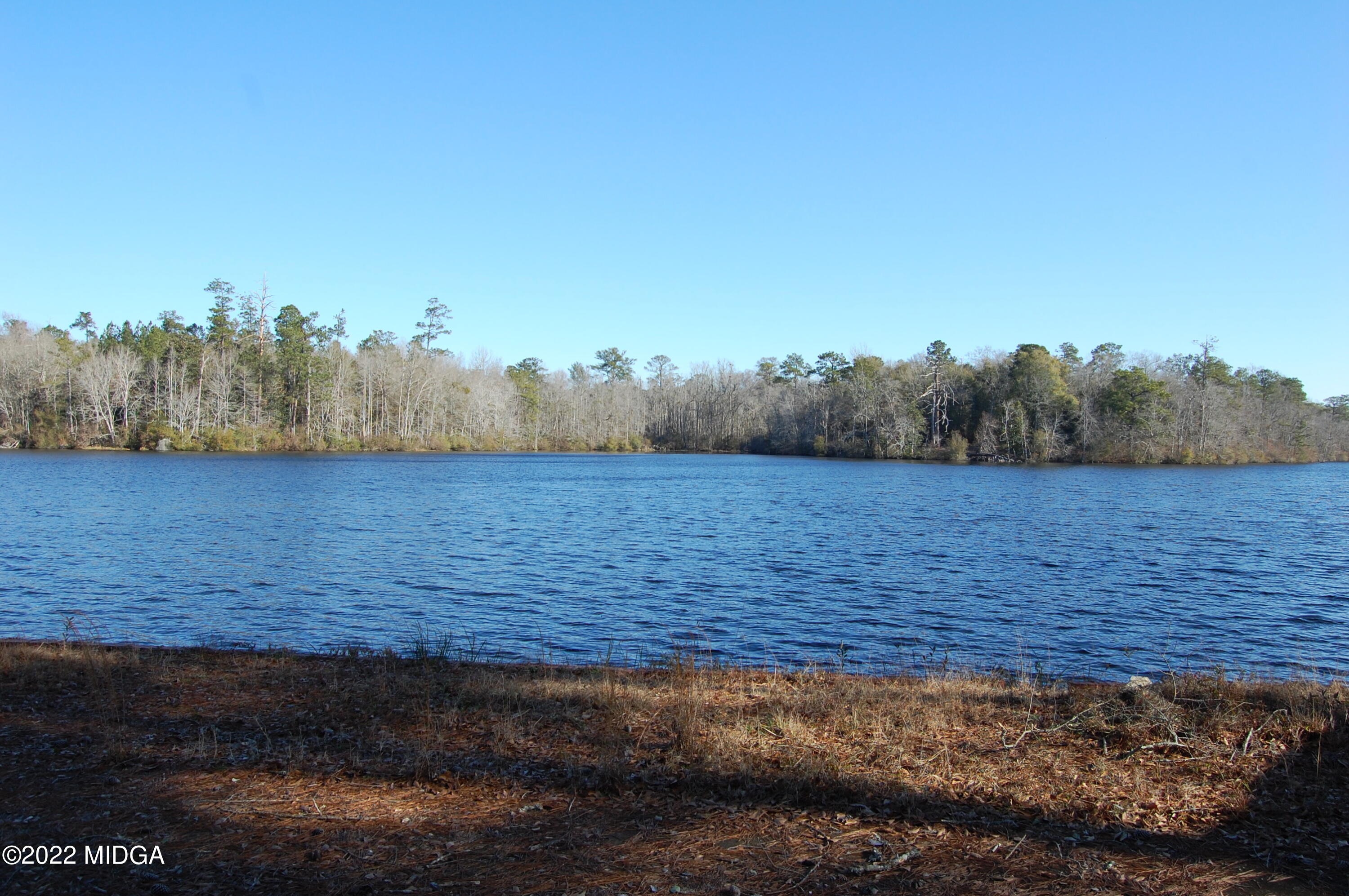 2802 Jeffersonville Road Macon, GA 31217 - Photo 4 of 32 a view of a field with trees in background
