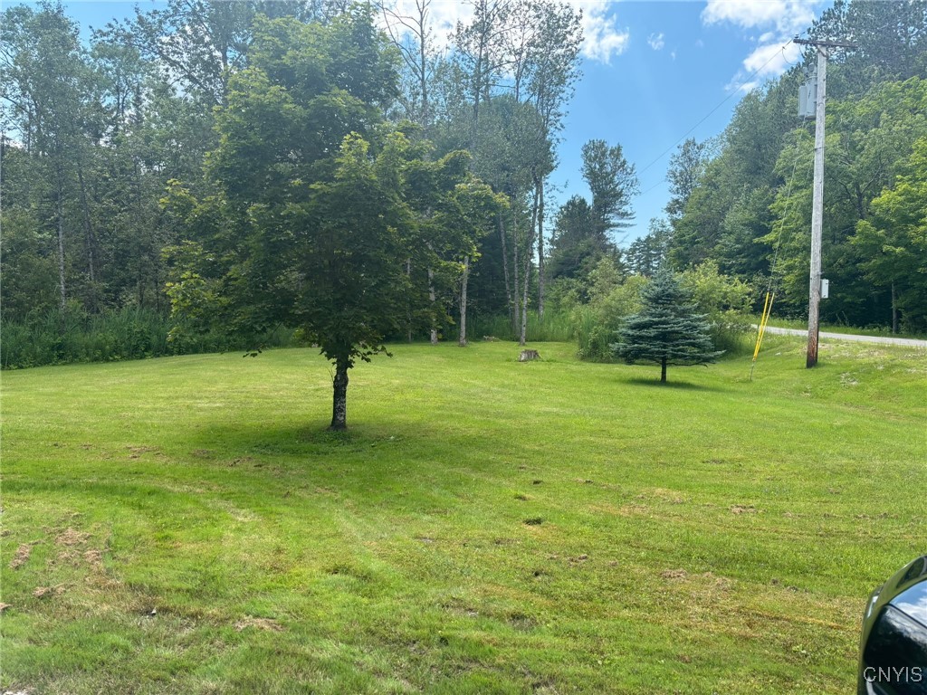 1000 Southside Road Cold Brook, NY 13324 - Photo 24 of 26