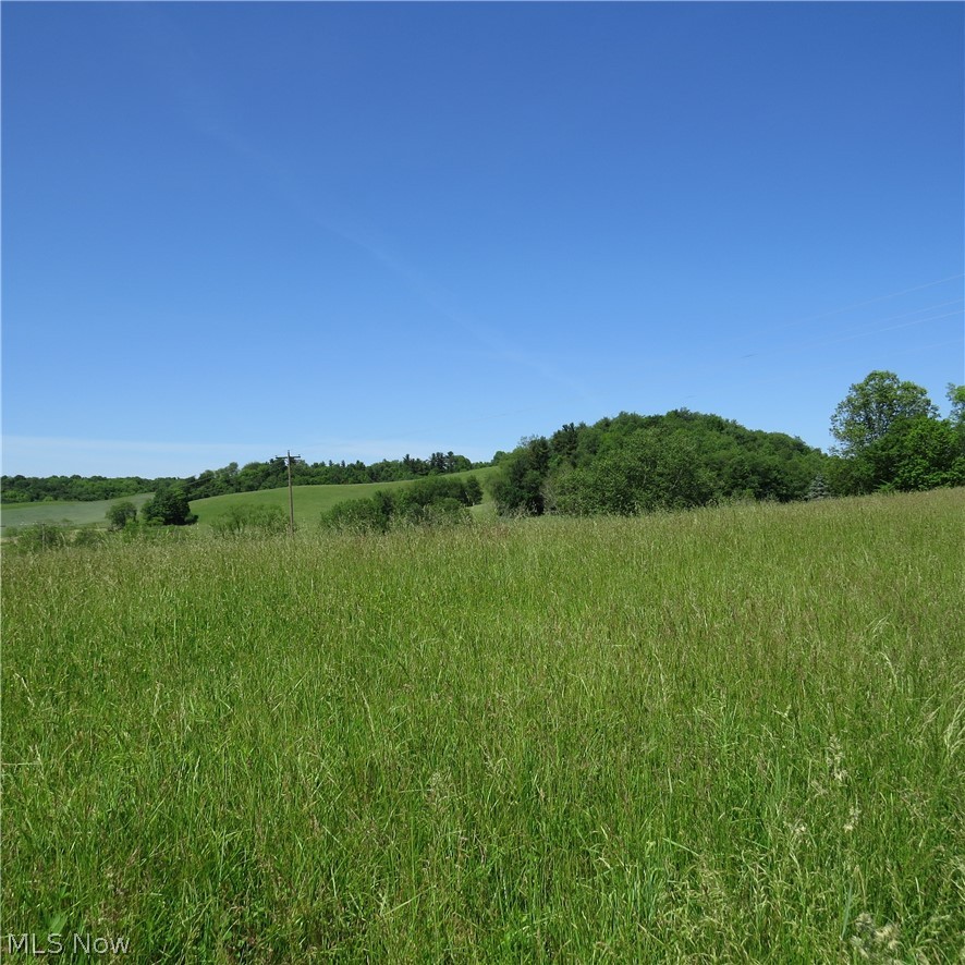 Fargo Road Southwest Dellroy, OH 44620 - Photo 11 of 14