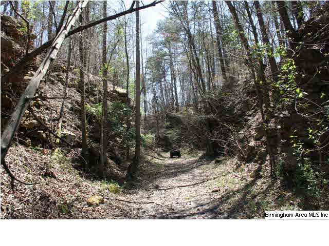 Narrows Road, Unit 168 Remlap, AL 35133 - Photo 20 of 21