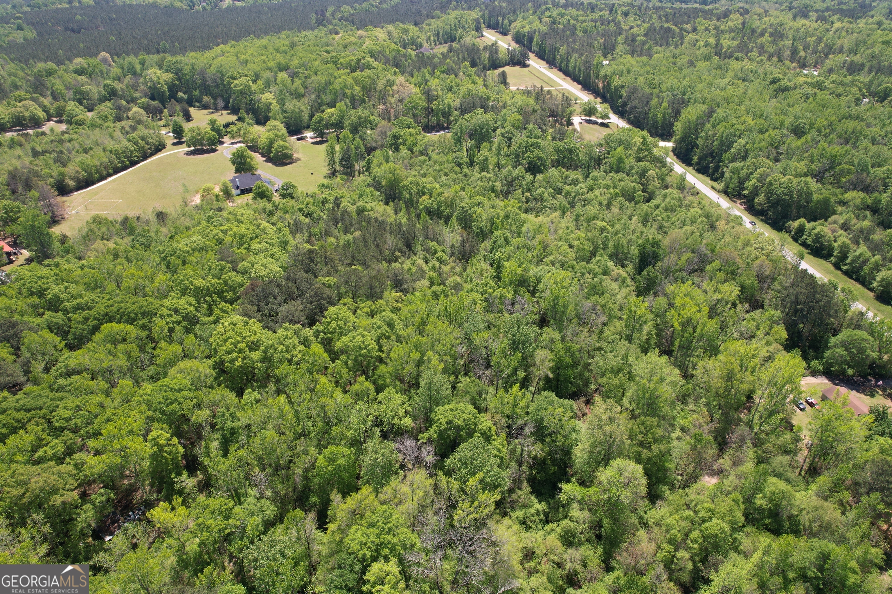 2310 Hollonville Road Williamson, GA 30292 - Photo 5 of 10