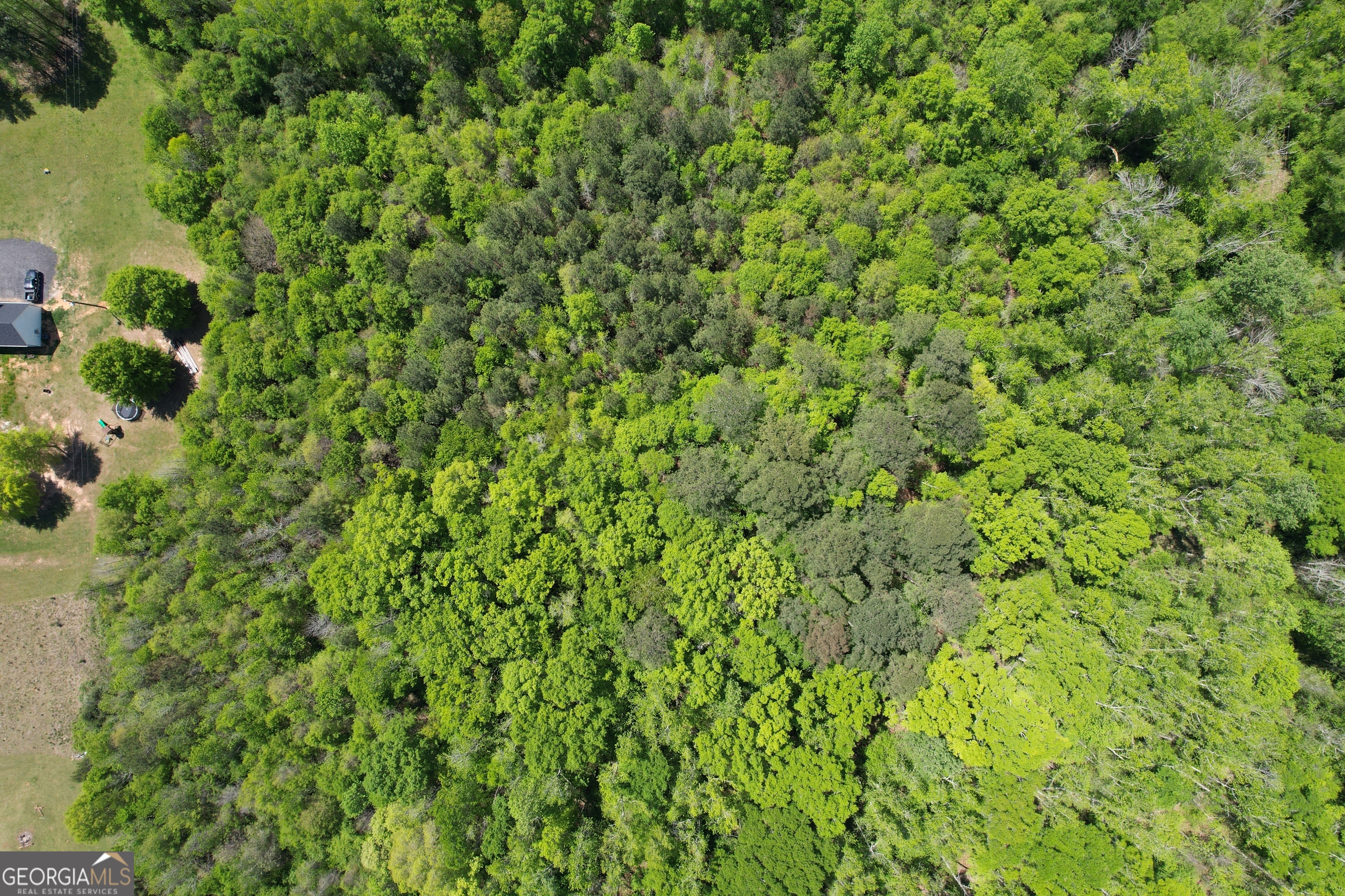 2310 Hollonville Road Williamson, GA 30292 - Photo 10 of 10