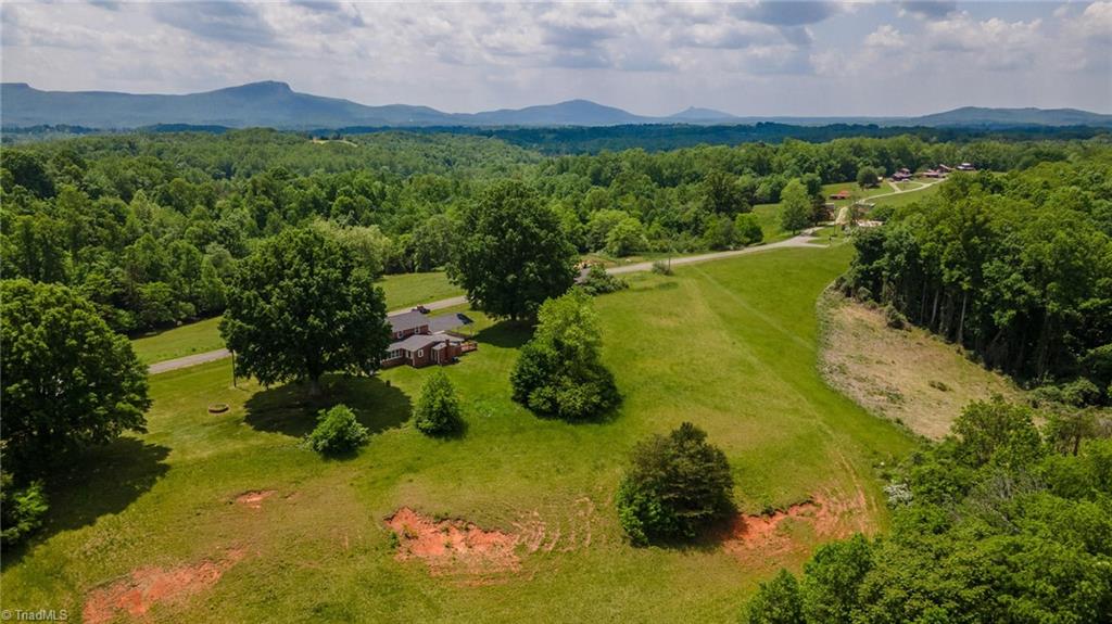 1090 Watt Stevens Road Danbury, NC 27016 - Photo 48 of 49 Arial