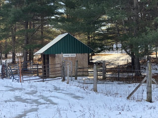 4955 Pierce Road Kingsley, MI 49649 - Photo 9 of 28 1871434-8.JPG
