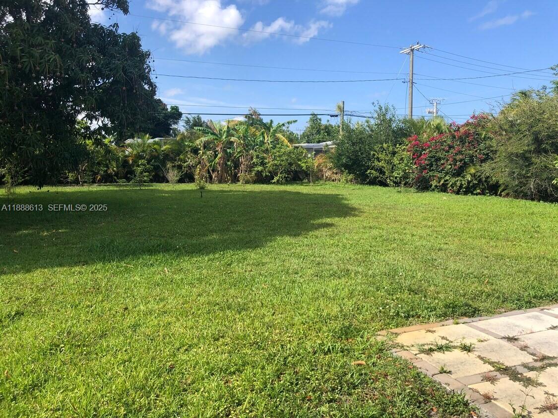 2815 Jackson Street Hollywood, FL 33020 - Photo 7 of 7 a view of a garden with a tree