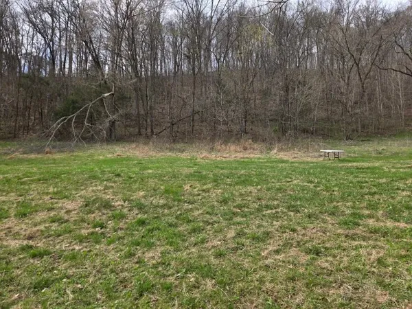 a view of a field with an trees