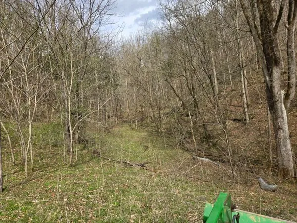 a view of a yard with an outdoor space