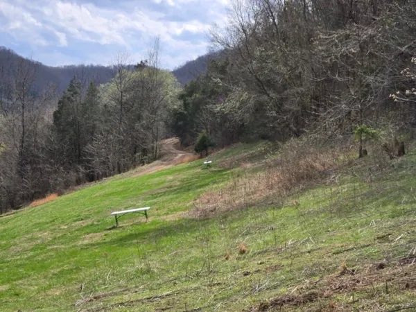 a view of a backyard with a swimming pool