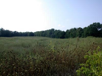 2 Runyon Road Buchanan, MI 49107 - Photo 1 of 1 Primary Photo