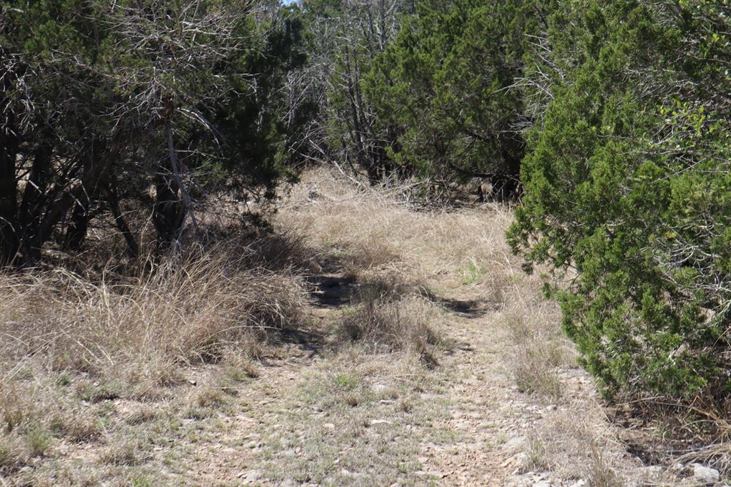 462 Schenk Witkowski Road Rocksprings, TX 78880 - Photo 29 of 51