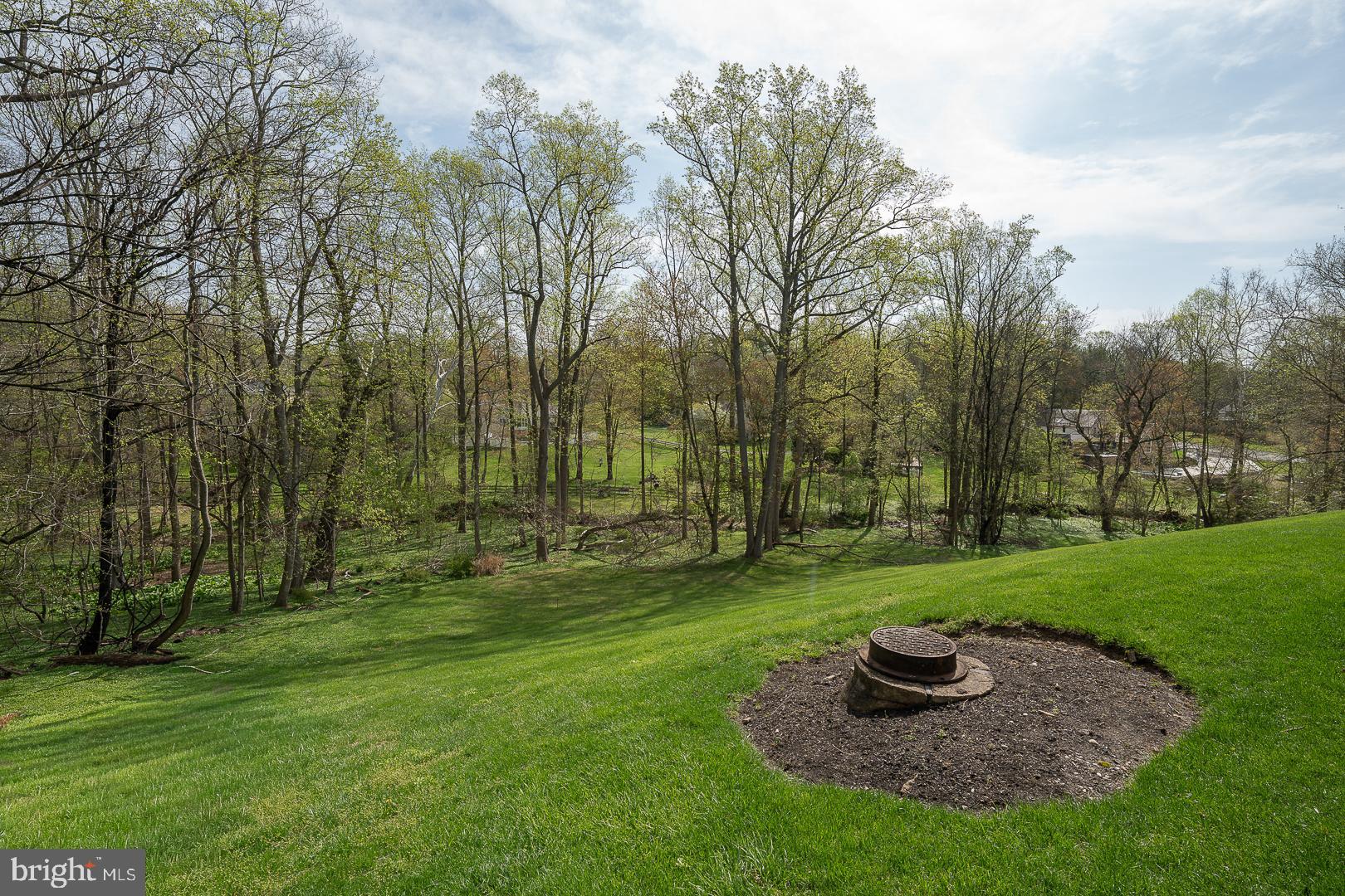 125 Springton Mews Circle Media, PA 19063 - Photo 32 of 36