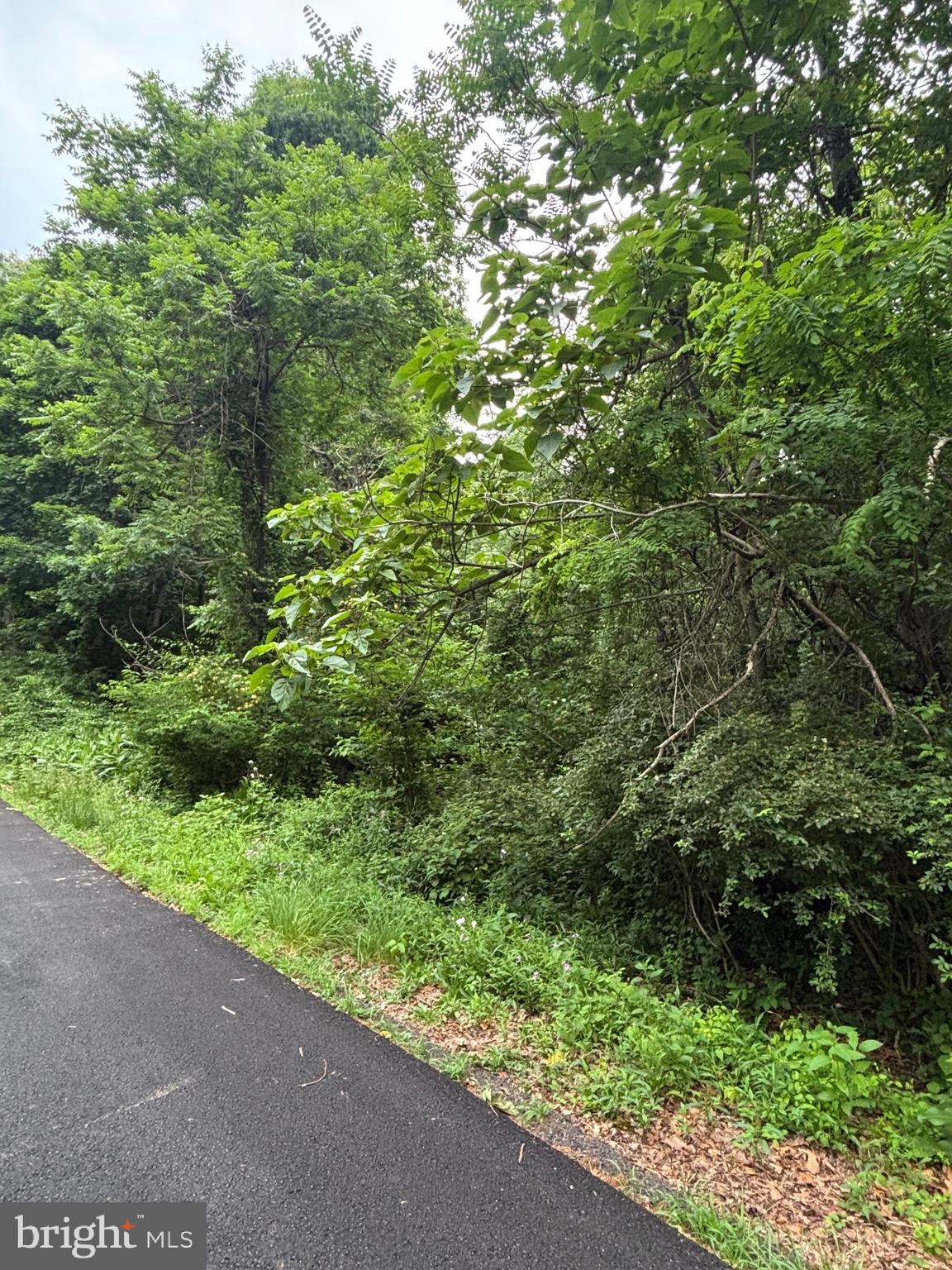 5706 Ridge Road Cascade, MD 21719 - Photo 4 of 7